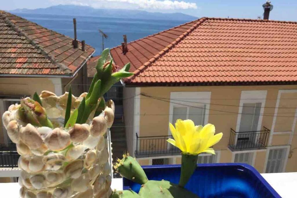 # Perfection Sea View Apartments 卡瓦拉 外观 照片